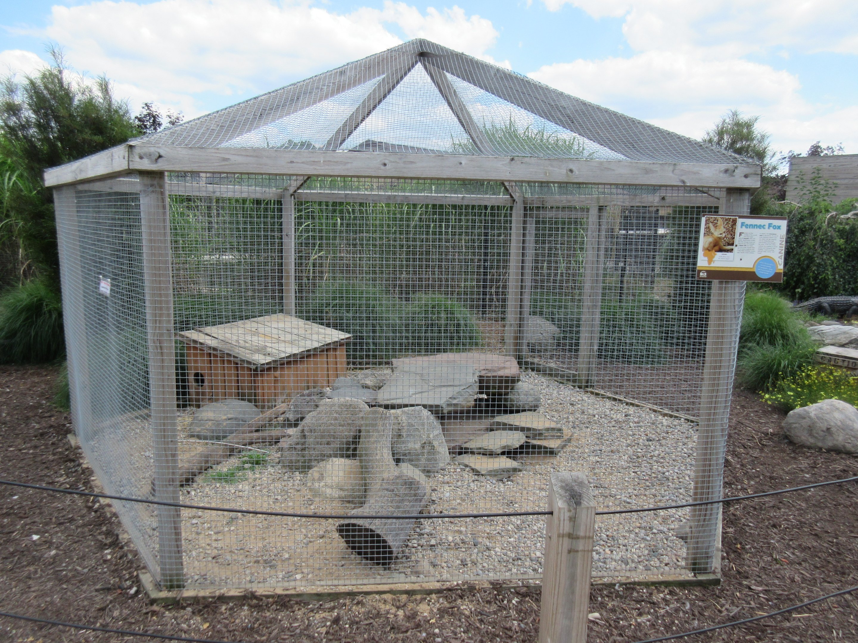 Fennec Fox Exhibit