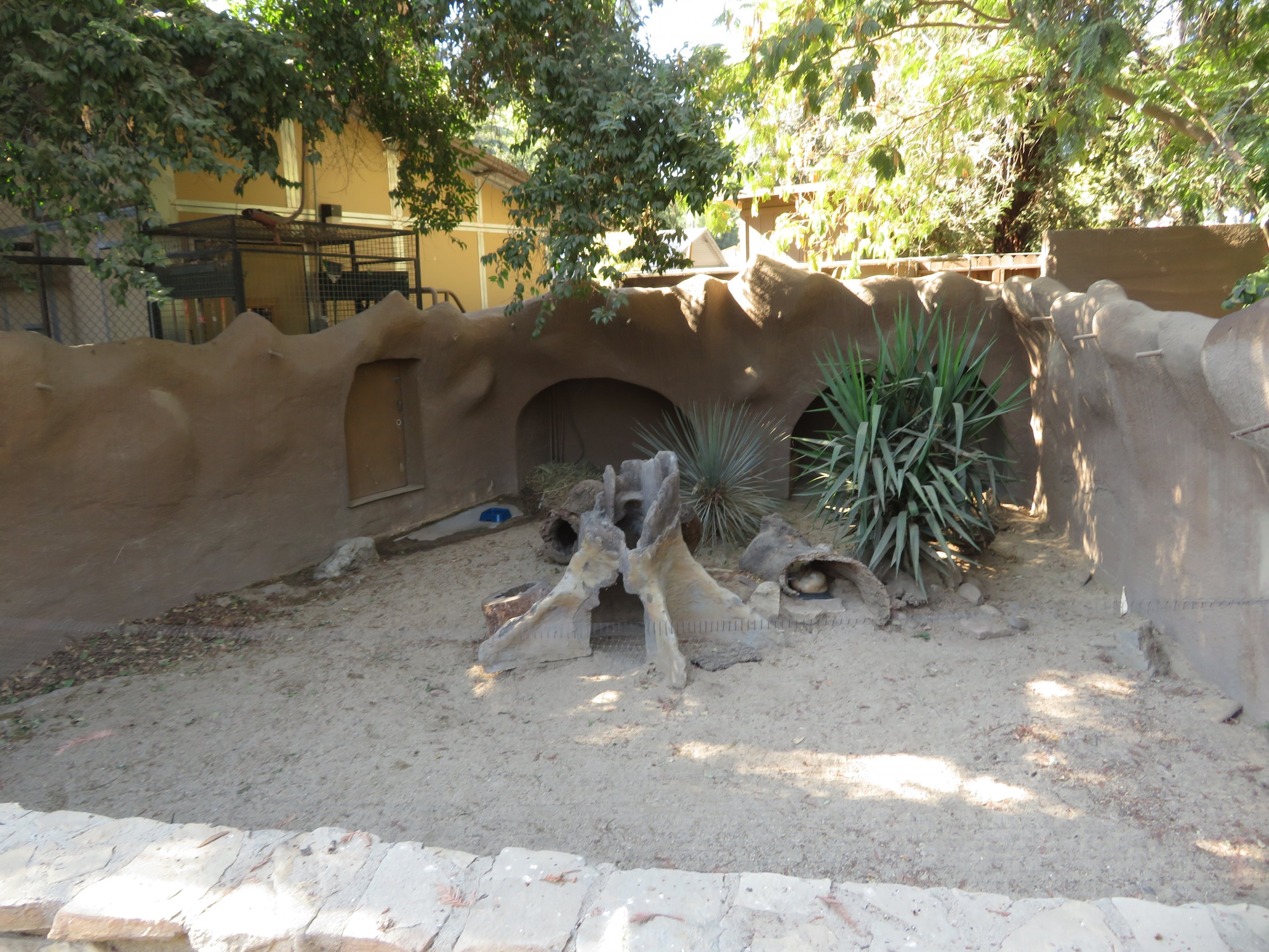 Fennec Fox Exhibit