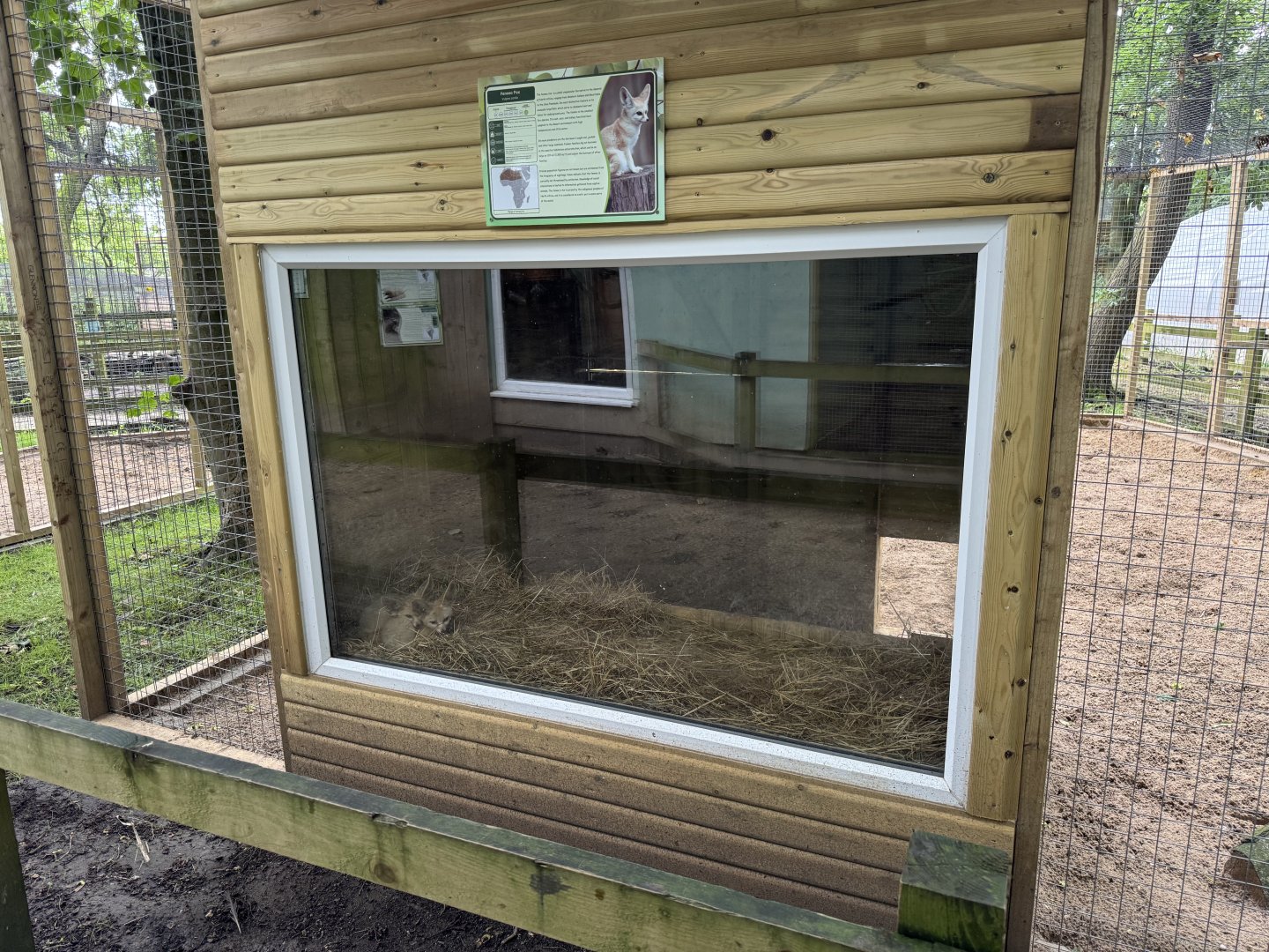 Fennec Fox House at Bridlington Animal Park (July 2024)