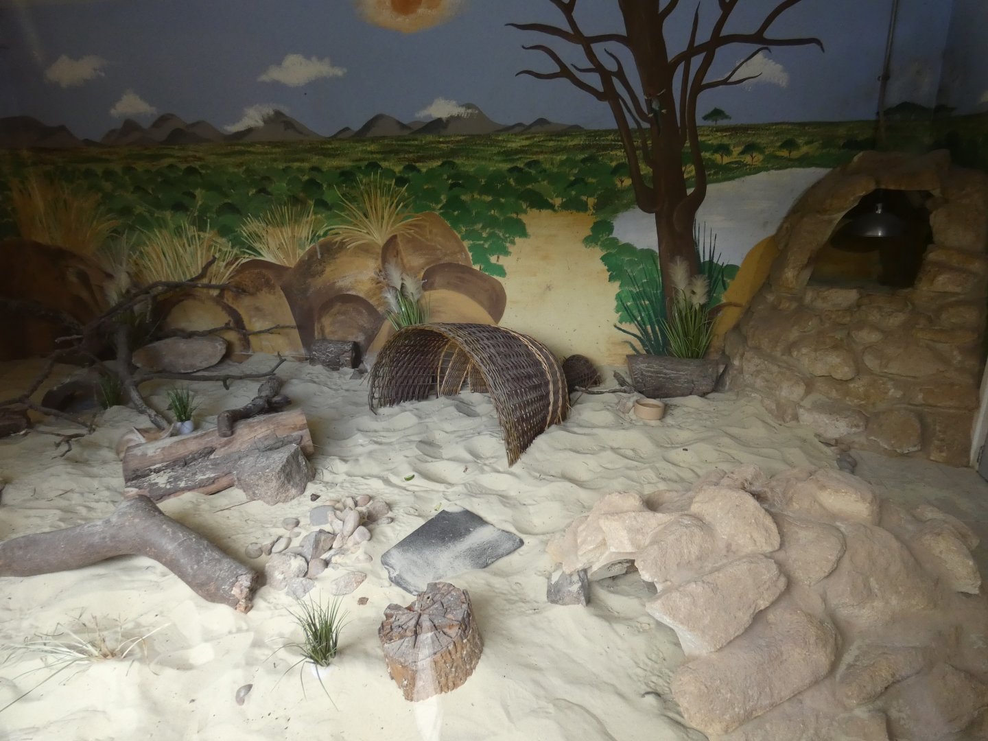 Fennec Fox indoor enclosure