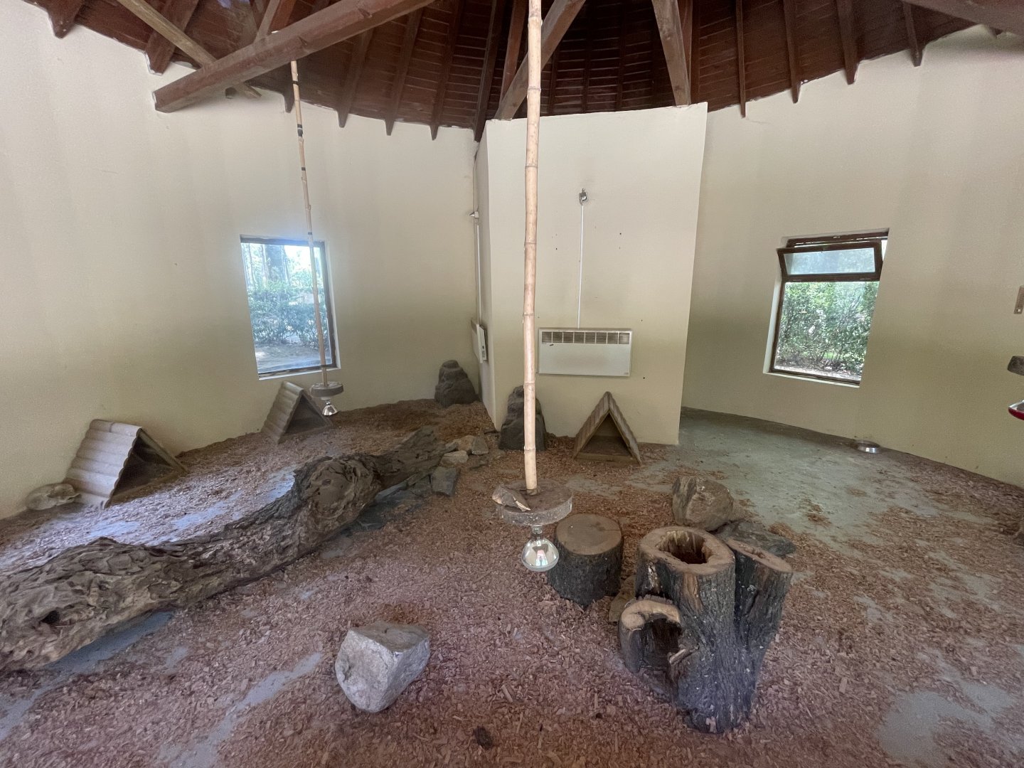 Fennec fox indoor exhibit