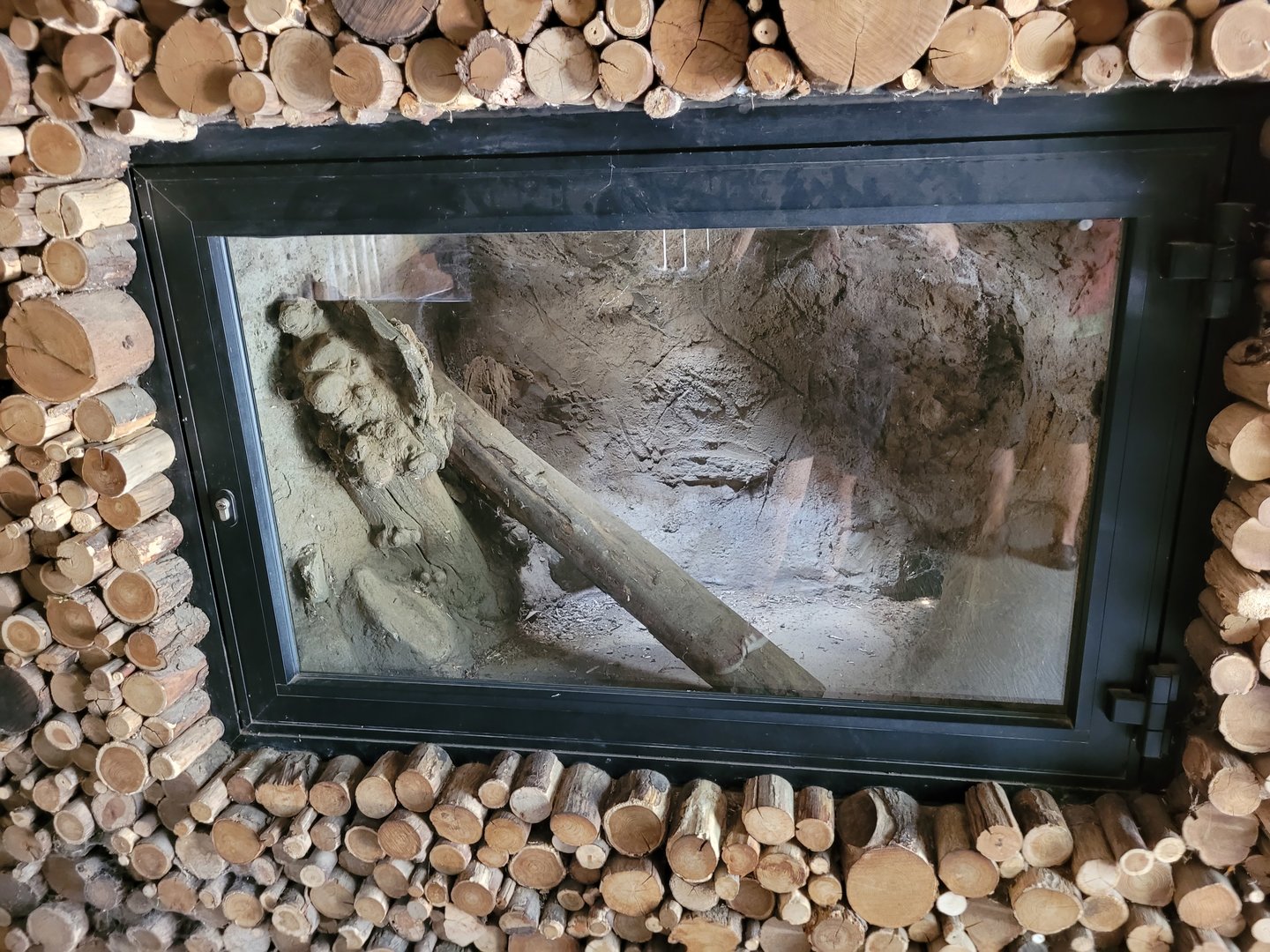 Fennec fox indoors exhibit -Parc Animalier des Pyrénées (2023)