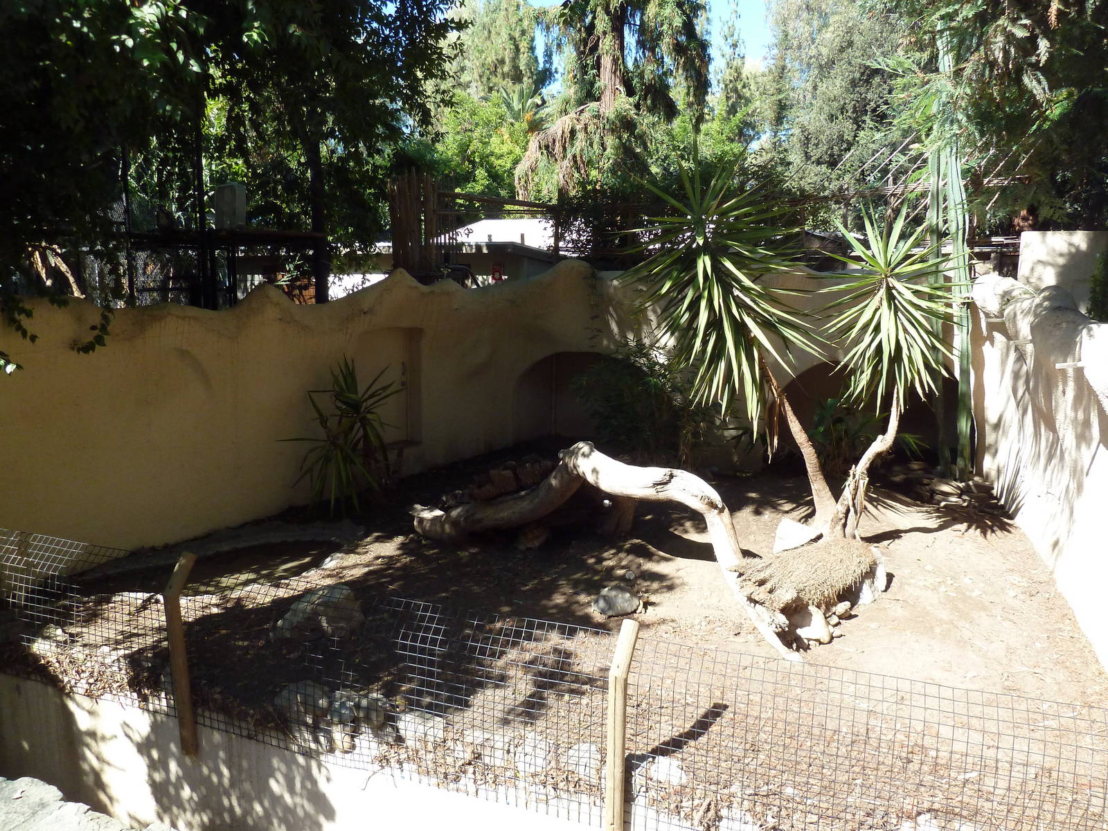 Fennec Fox/Leopard Tortoise/Radiated Tortoise Exhibit