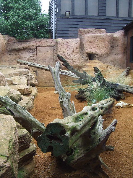 Fennec Fox outdoor enclosure
