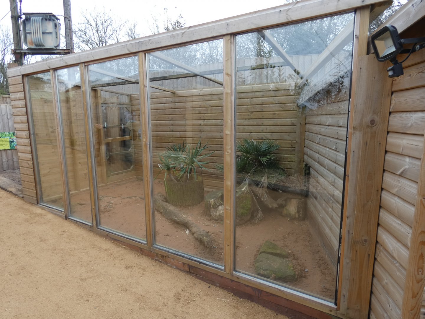 Fennec Fox outdoor enclosure