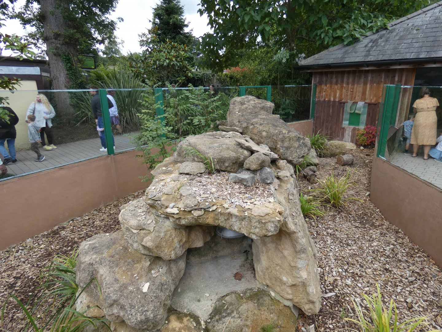 Fennec Fox outdoor enclosure