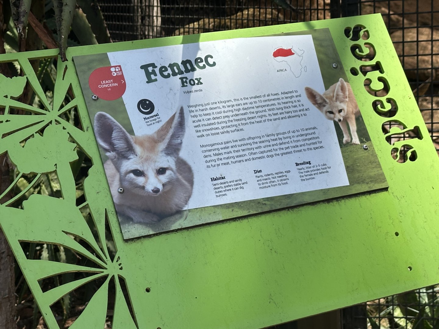 Fennec fox signage
