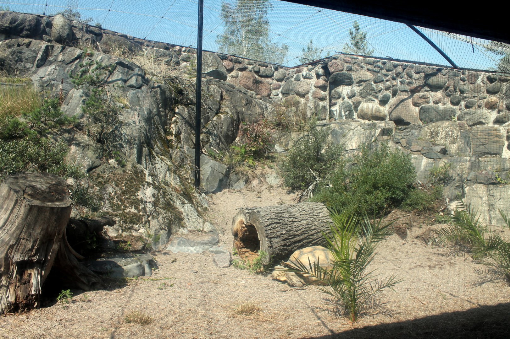 Fennec Fox/Tortoise Enclosure