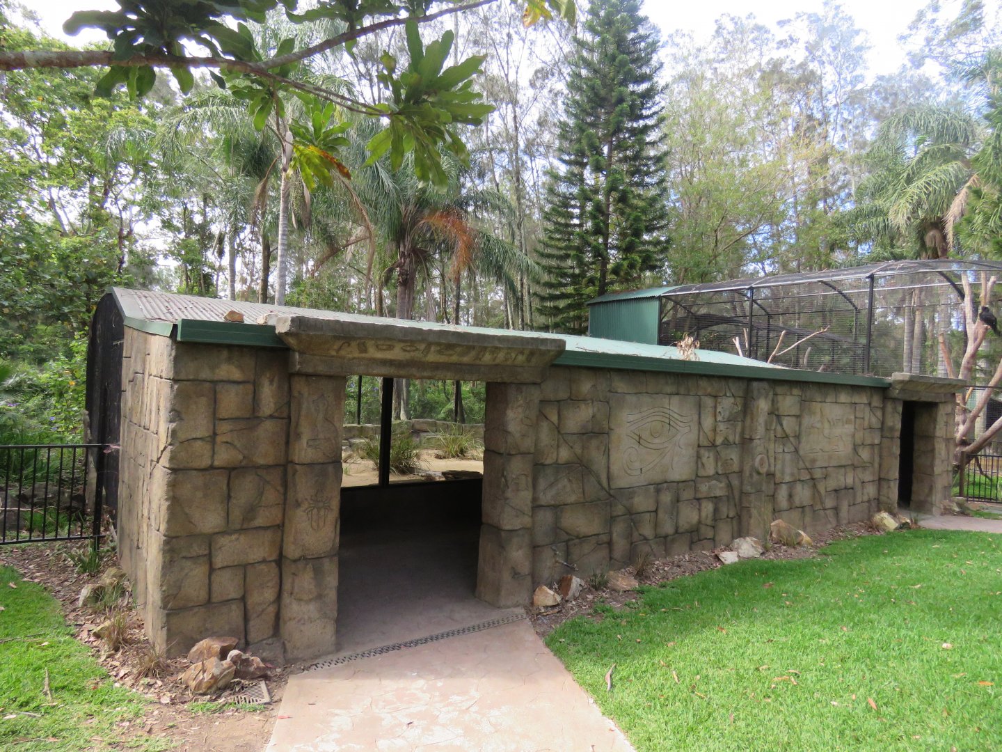 Fennec fox viewing area