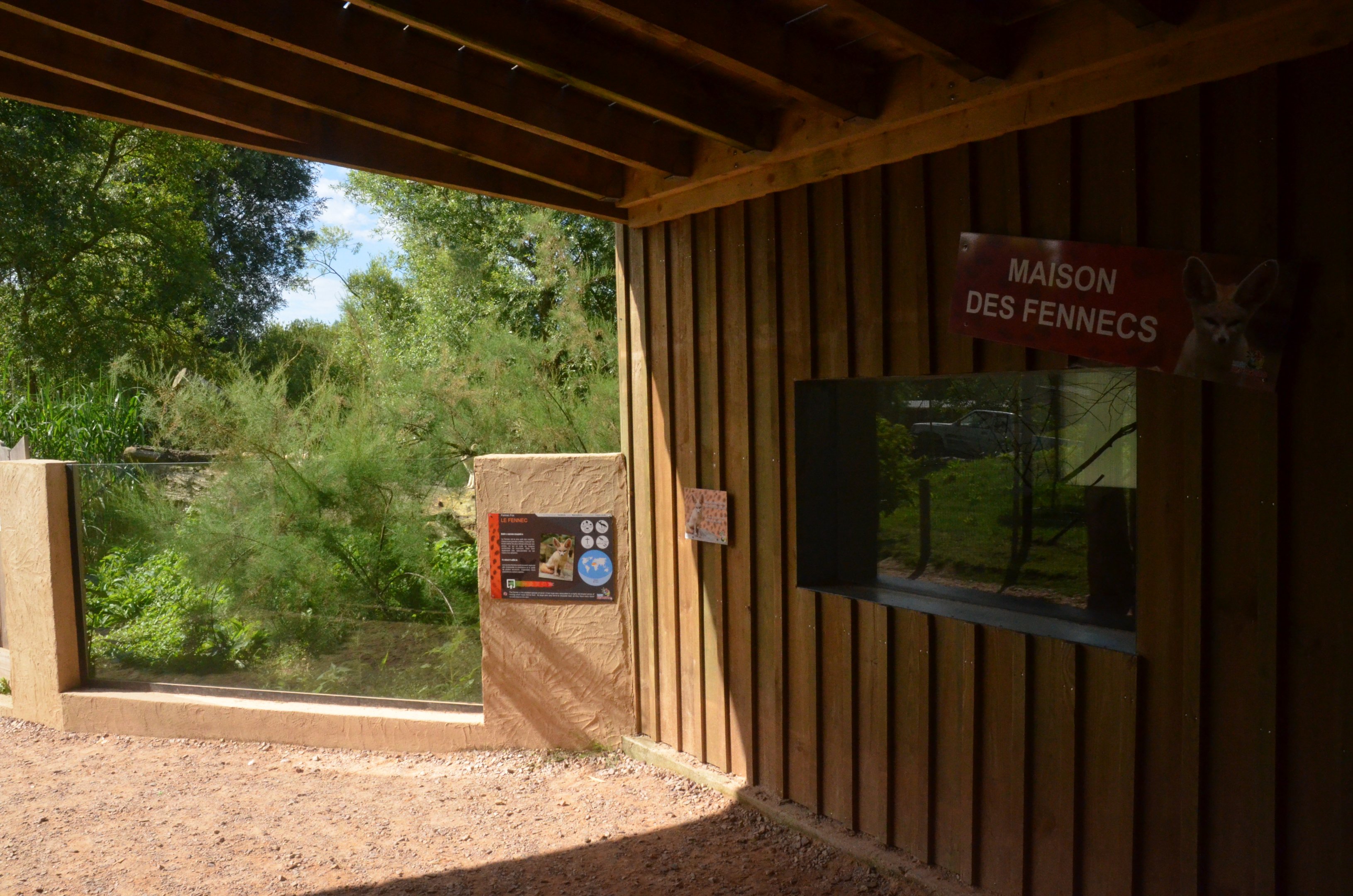 Fennec Fox Viewing at Biotropica, 16/06/18