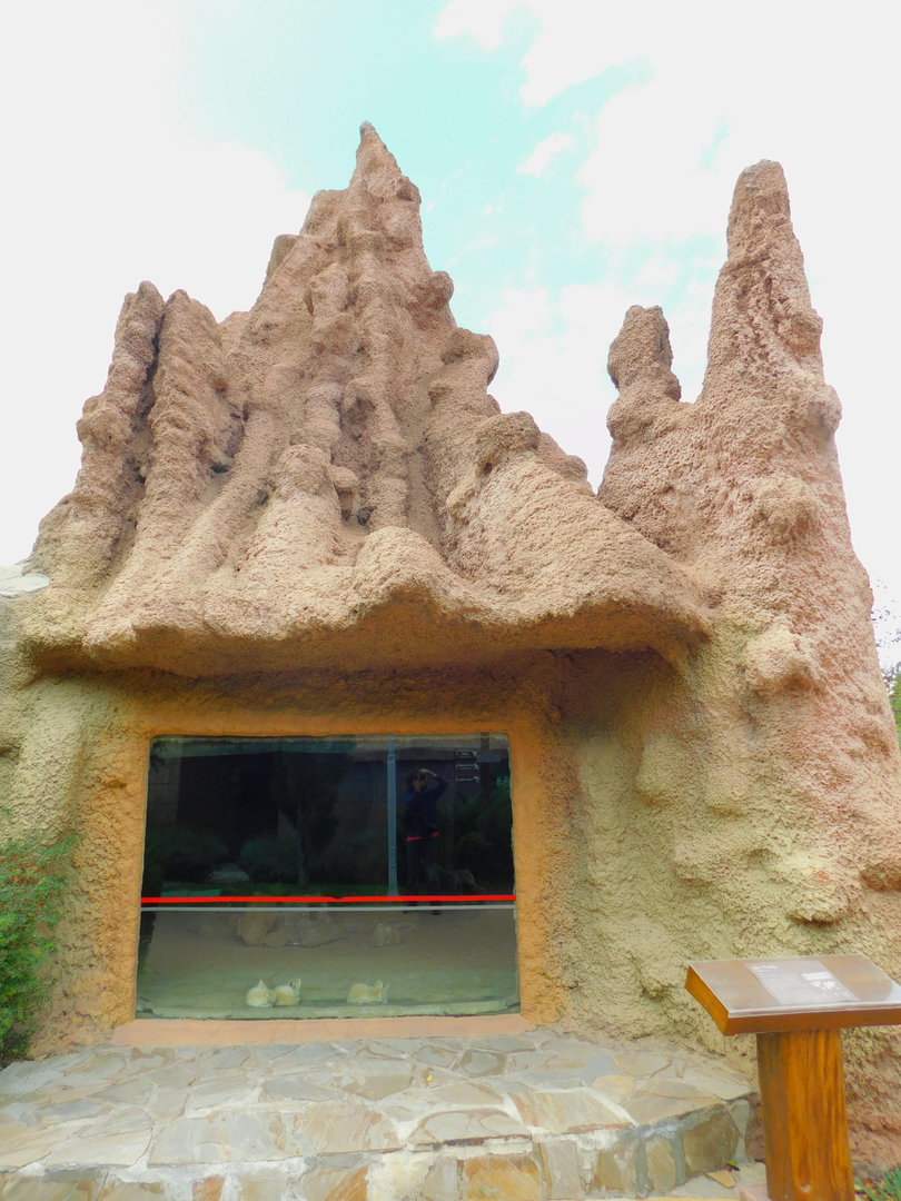 Fennec Indoor Display