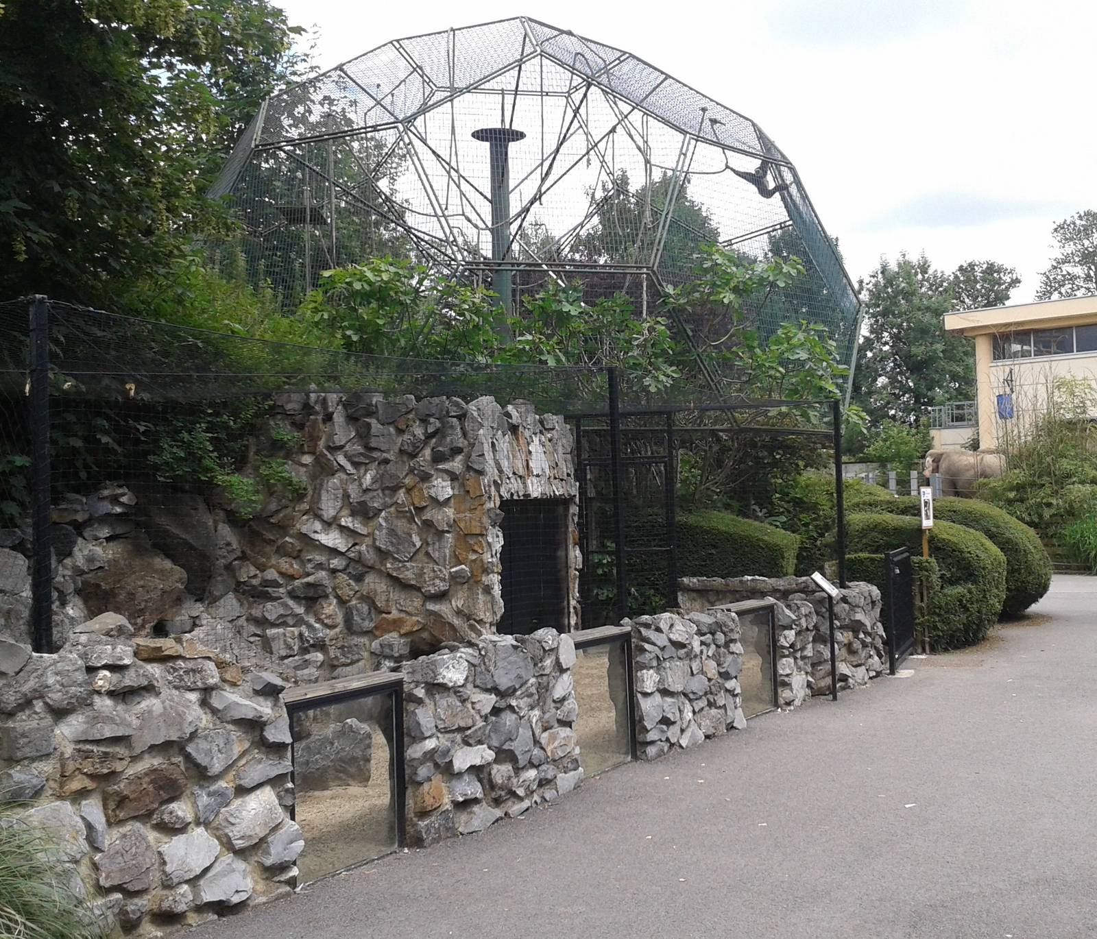 Fennek and gibbon enclosures