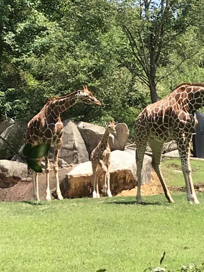 Fenn’s first day on Habitat