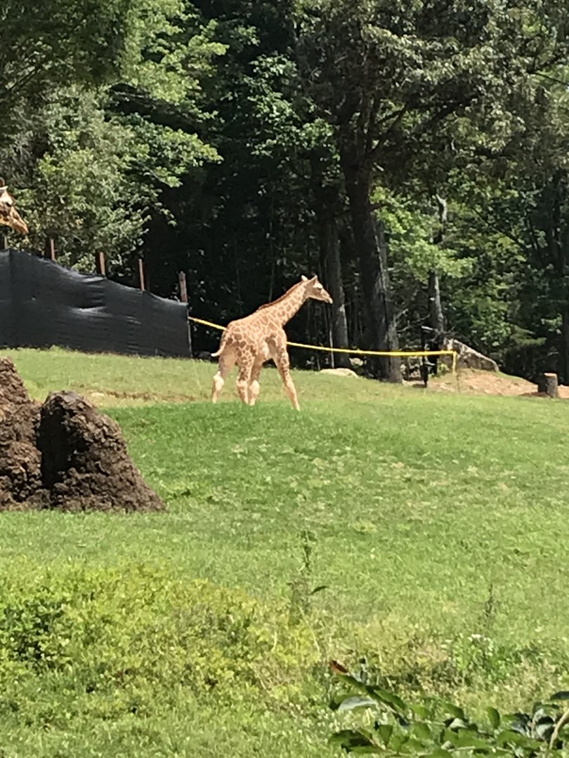 Fenn’s First Day on Habitat