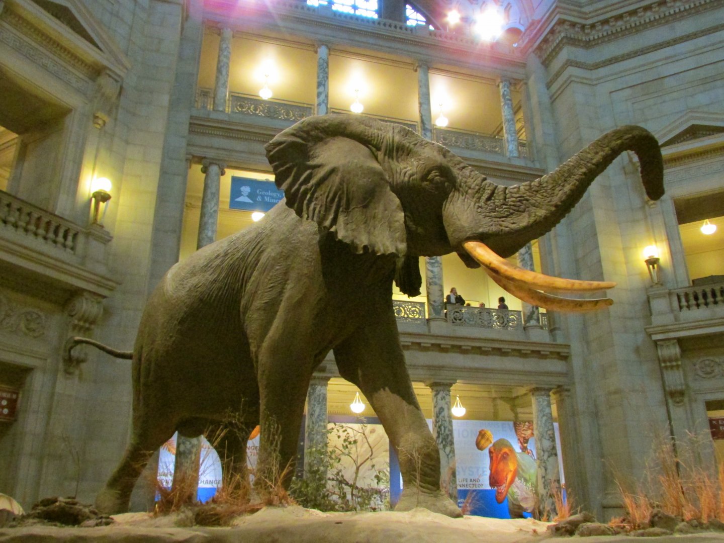 Fénykövi Elephant 1st Floor Angle 1