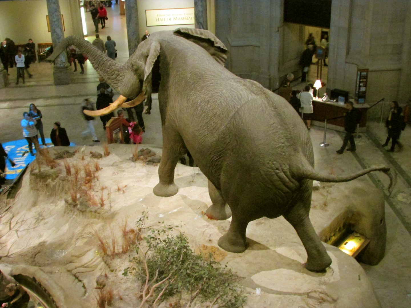 Fénykövi Elephant 2nd Floor Angle 1