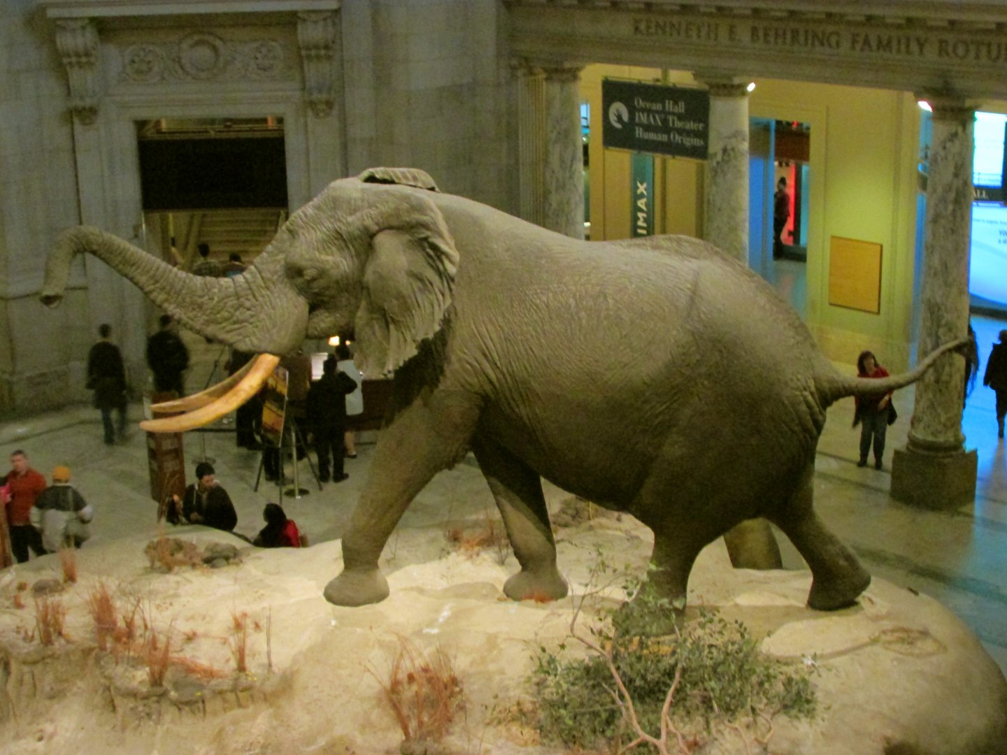 Fénykövi Elephant 2nd Floor Angle 2