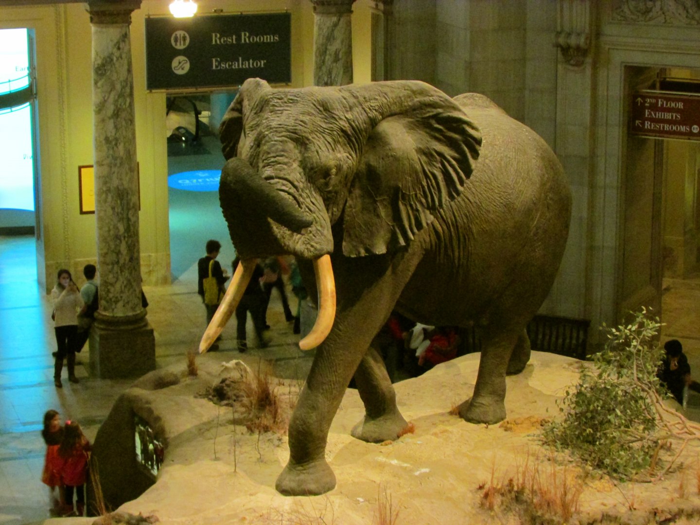 Fénykövi Elephant 2nd Floor Angle 3