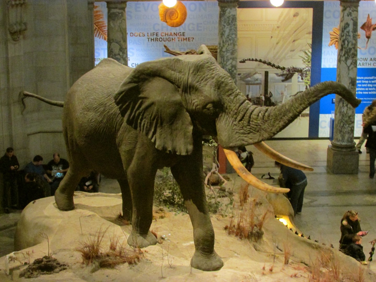 Fénykövi Elephant 2nd Floor Angle 4