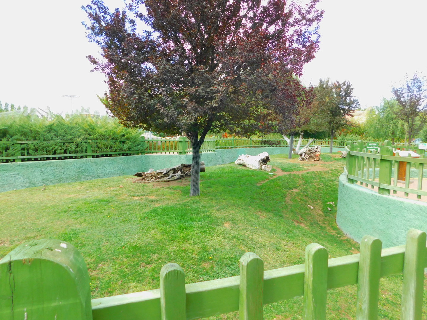 Feral Sheep/Mouflon Enclosure