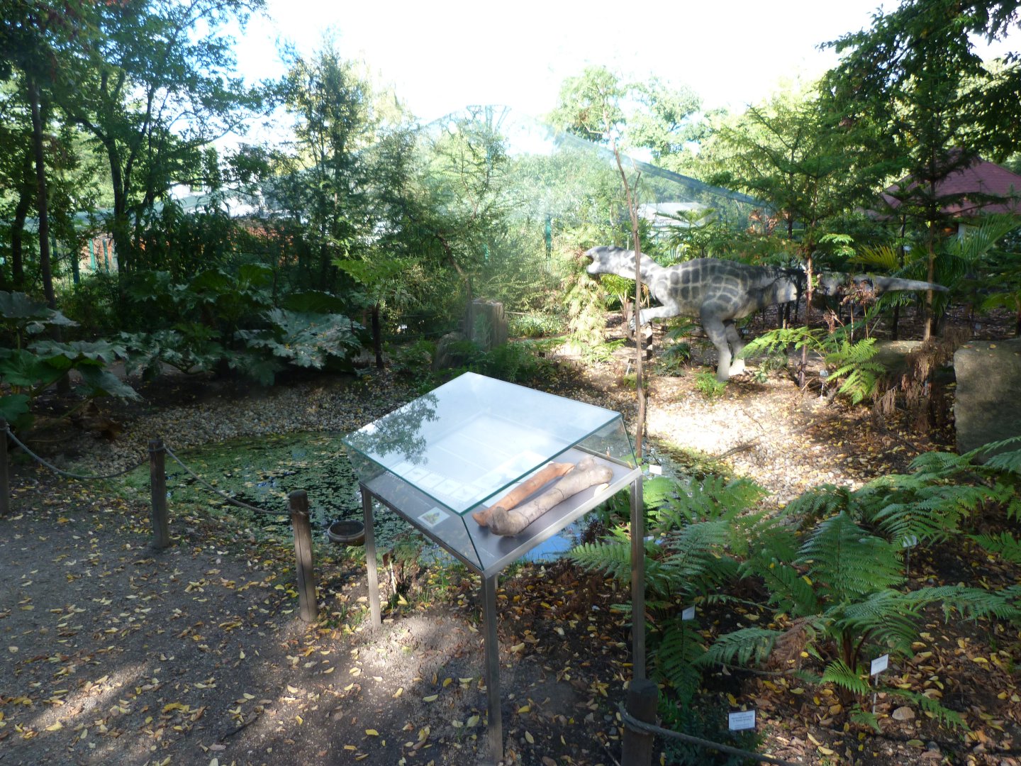 Fern display with dinosaur model -Zoo Plzeň (2025)