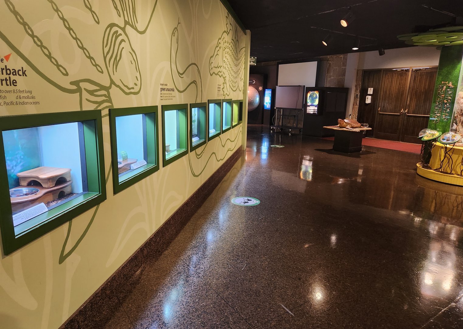 Fernbank Science Center - Live animals display area