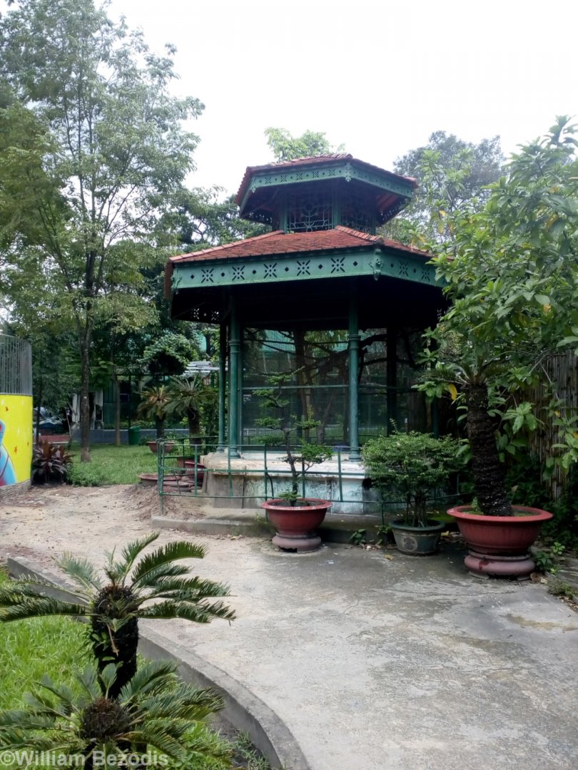 Ferret Badger Enclosure