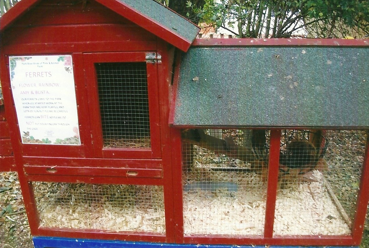 Ferret cage, 1st November 2013