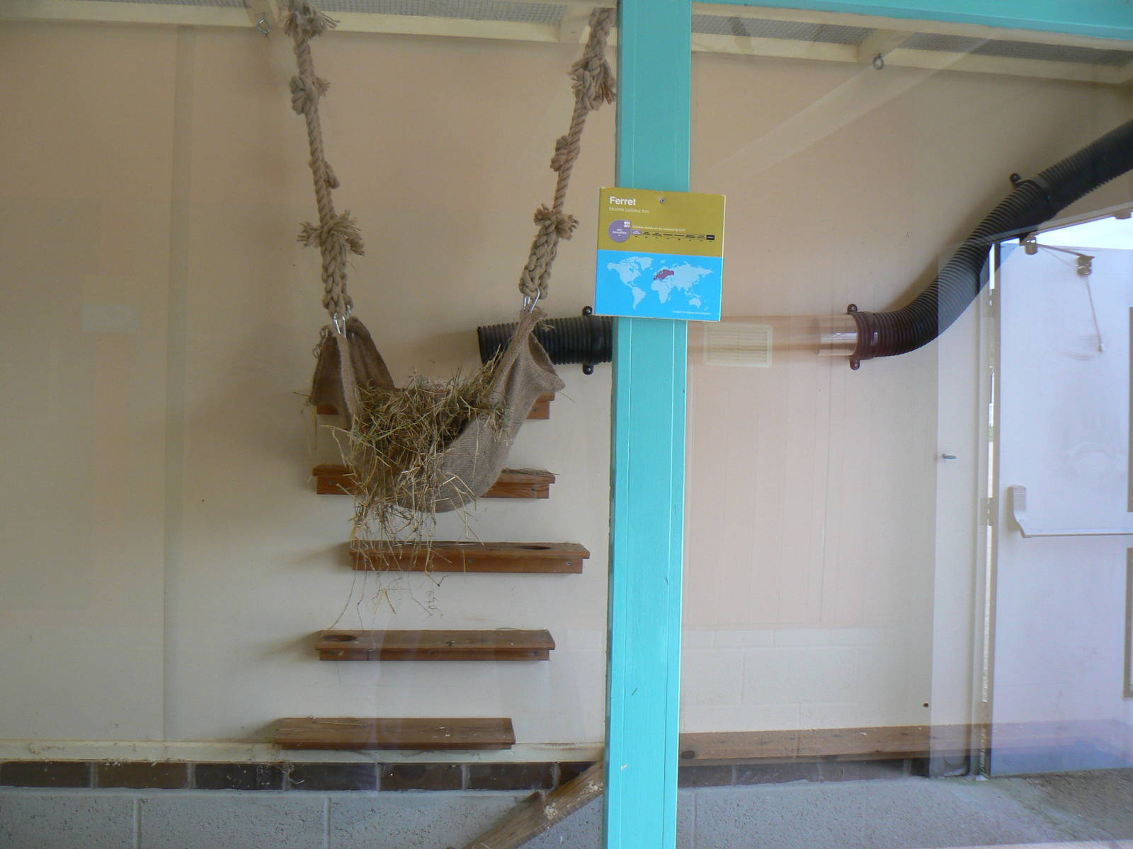 Ferret Enclosure- 17 October 2015