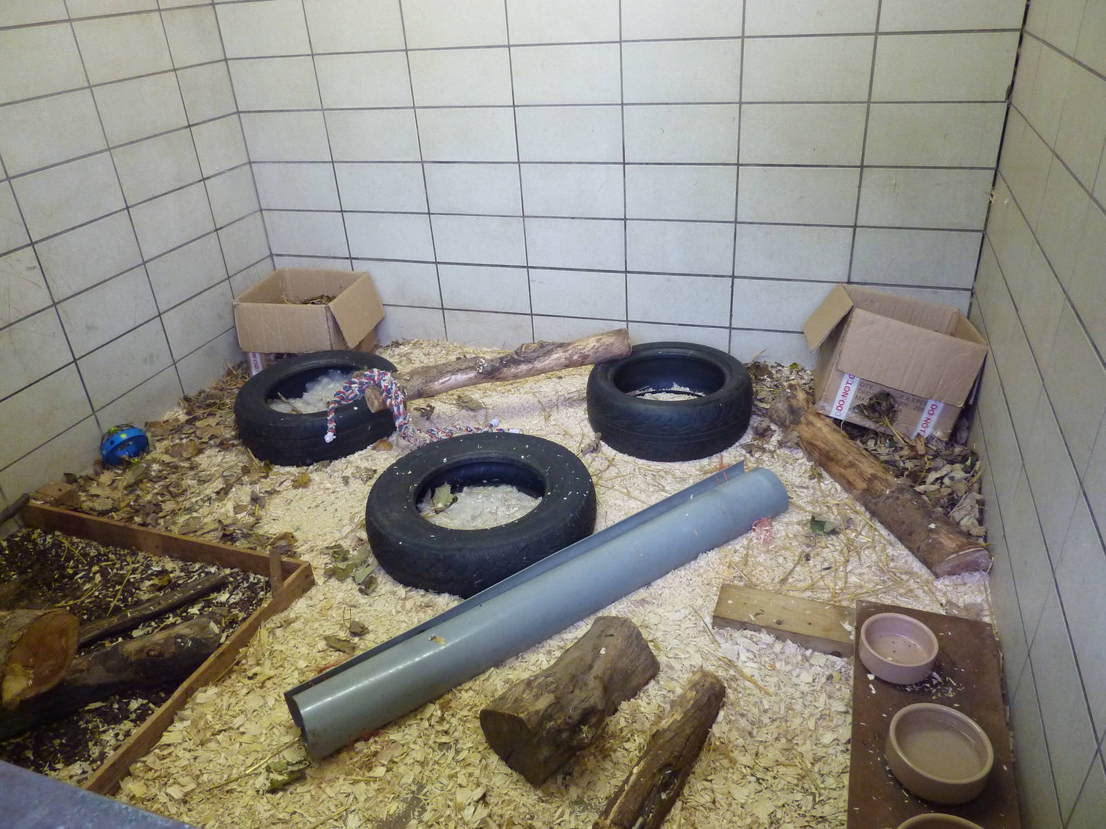 Ferret enclosure, 6th November 2012.