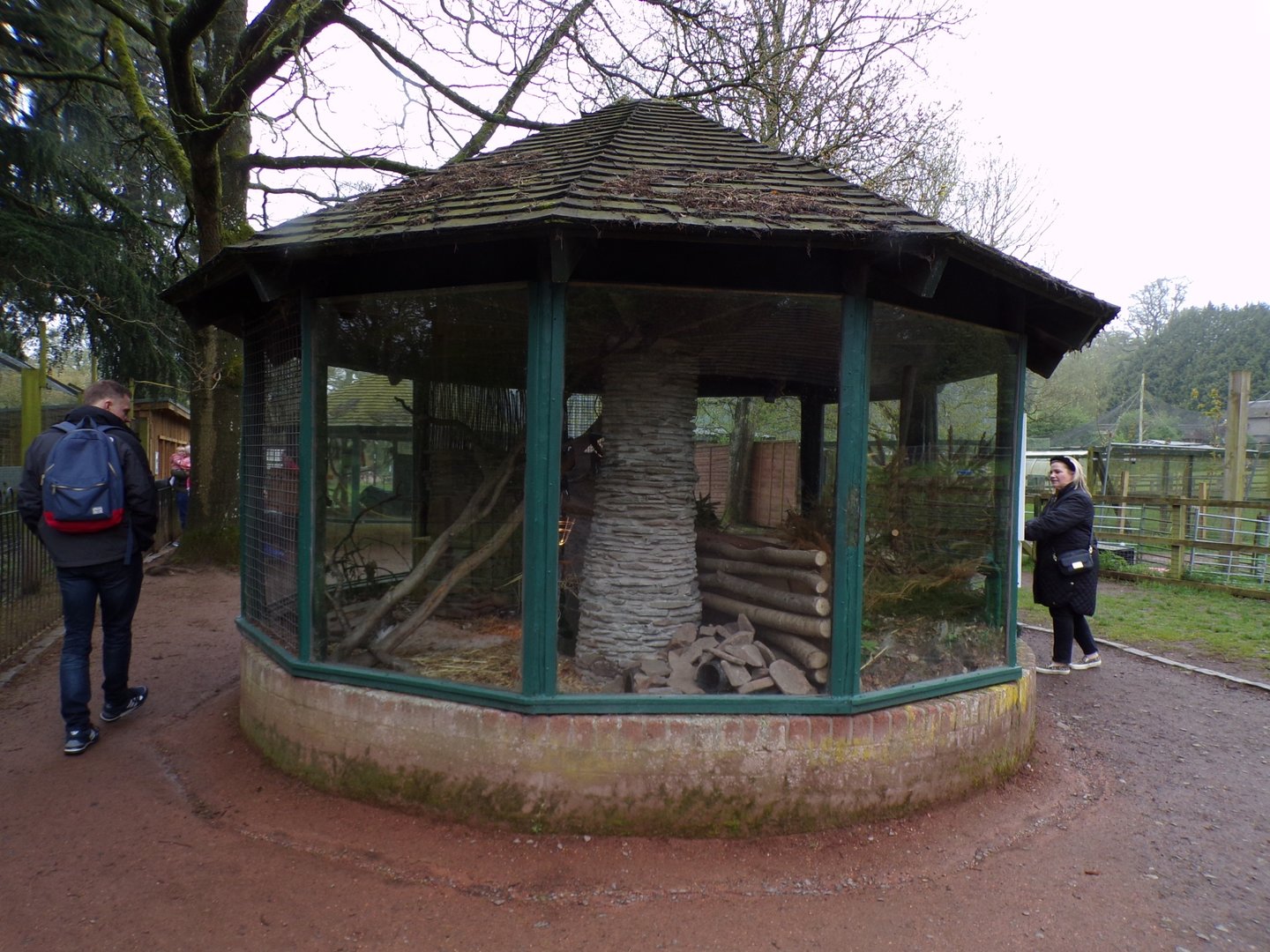 Ferret enclosure 7.5.23