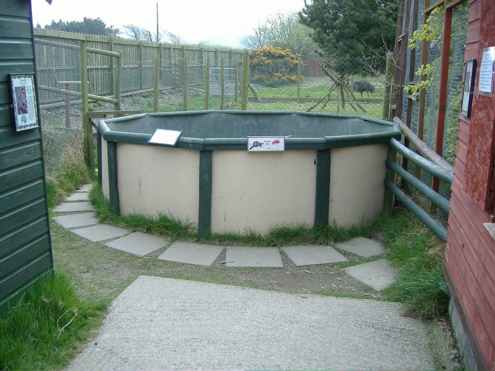 Ferret enclosure Animalarium