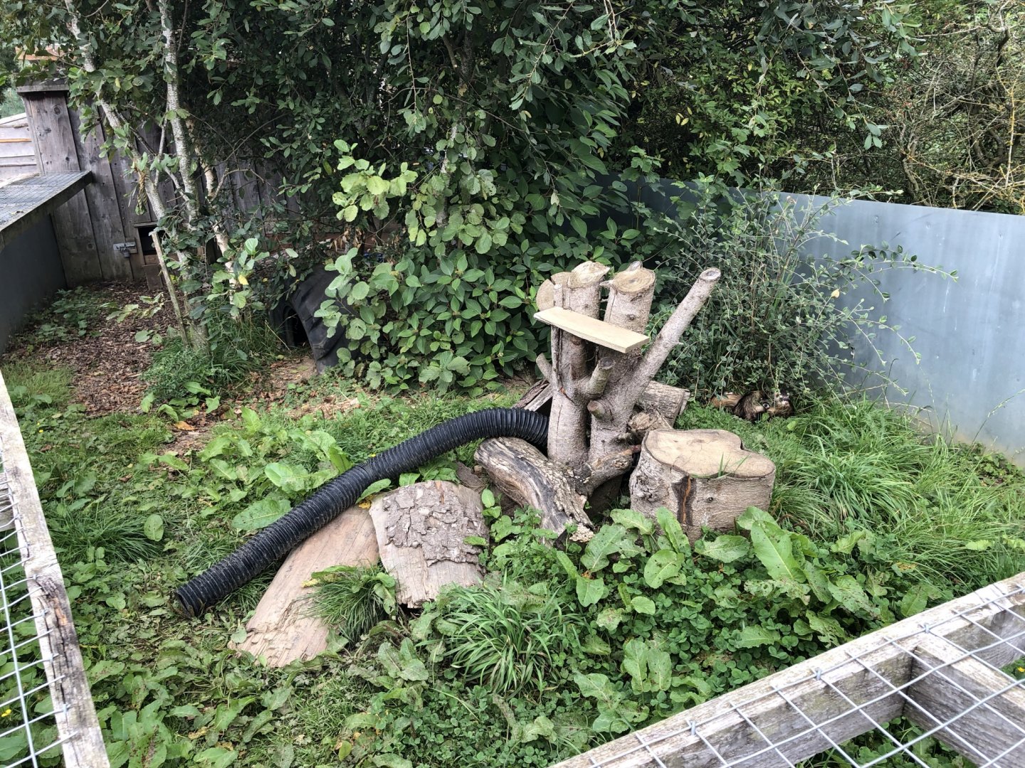 Ferret Enclosure at Northumberland Country Zoo (September 2021)