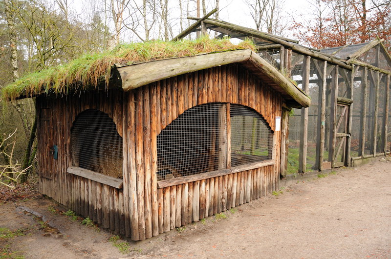 Ferret-exhibit at Rissen