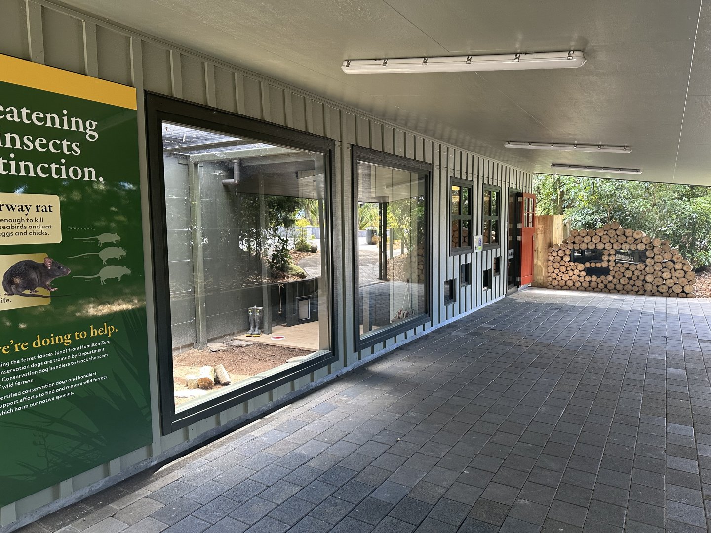 Ferret Exhibit (New)