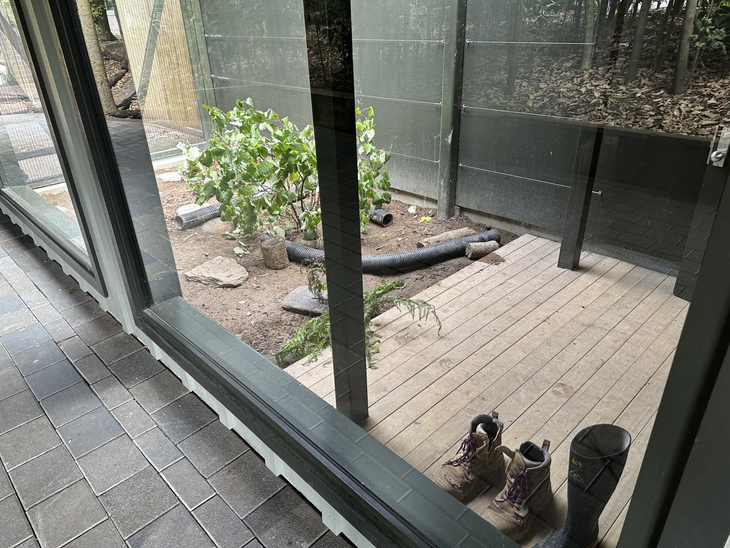 Ferret Exhibit (Outdoors)