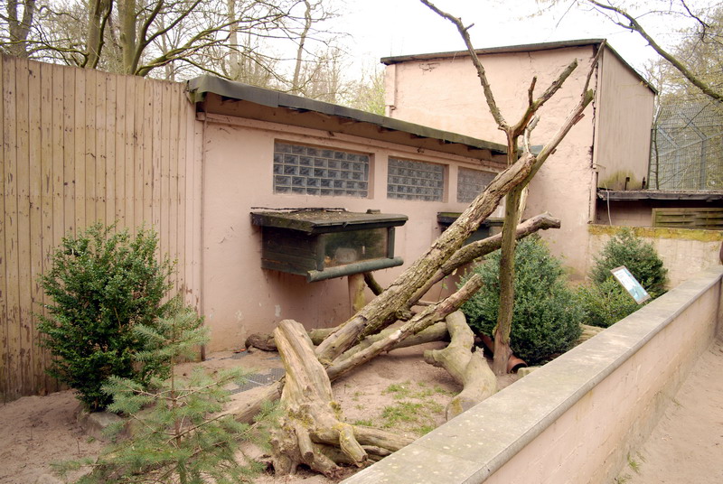 Ferretenclosure at Lübeck (now closed)