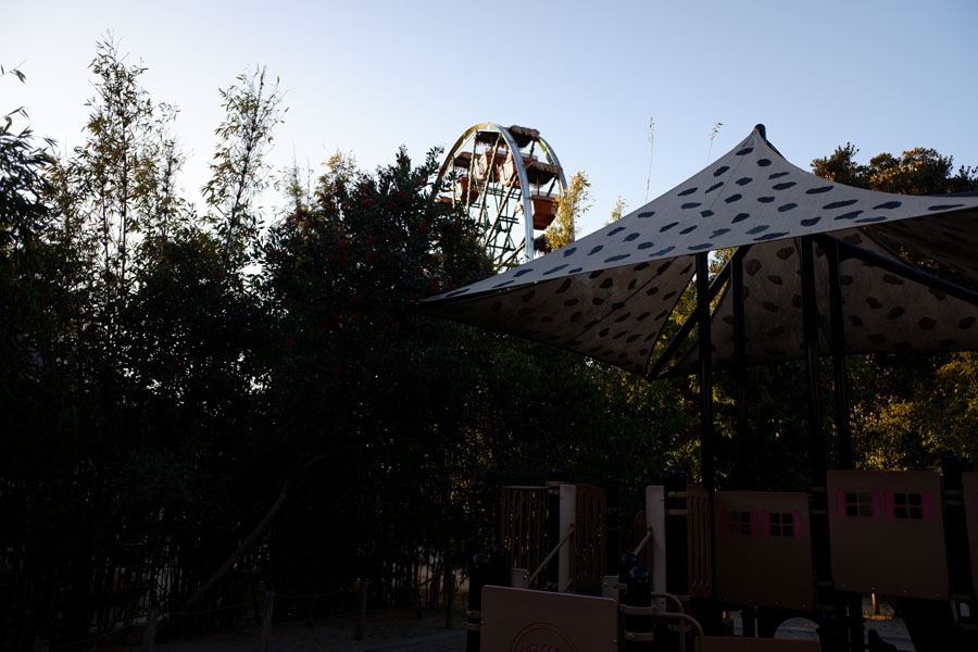 ferris wheel and playground