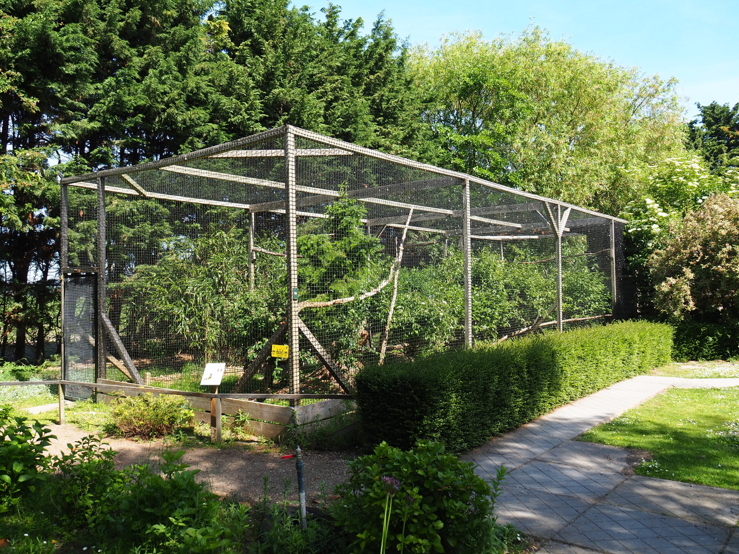 Ferruginous hawk aviary, 2019-06-01