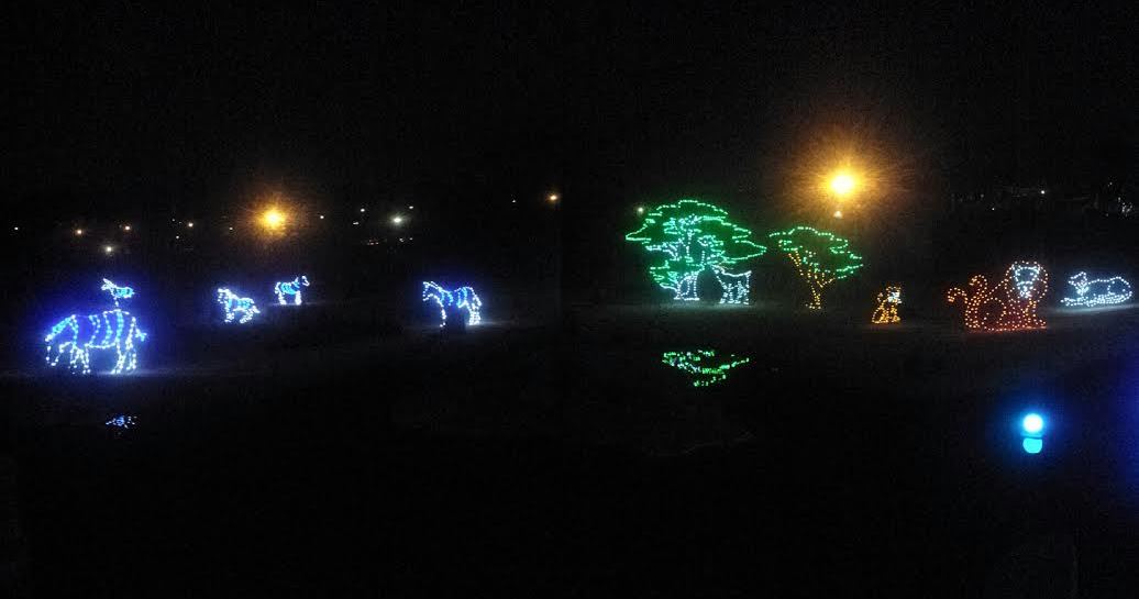 Festival of Light 2013 - Africa - African Plains