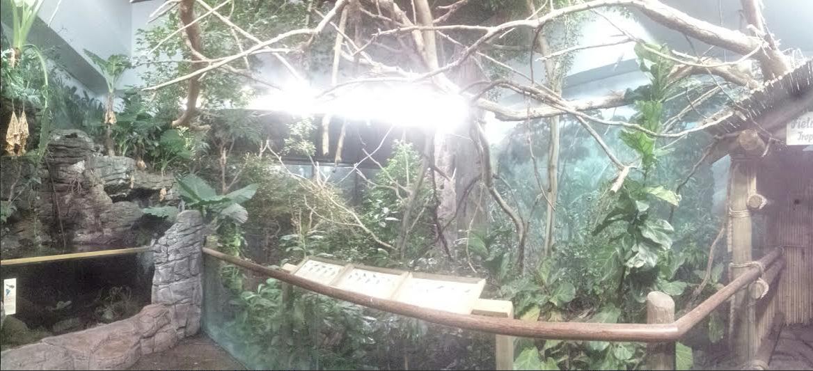 Festival of Light 2013 - Wings of the World - South America Panorama