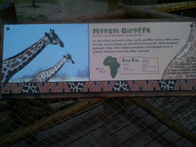 Festival of Lights 2011-Giraffe Ridge Sign