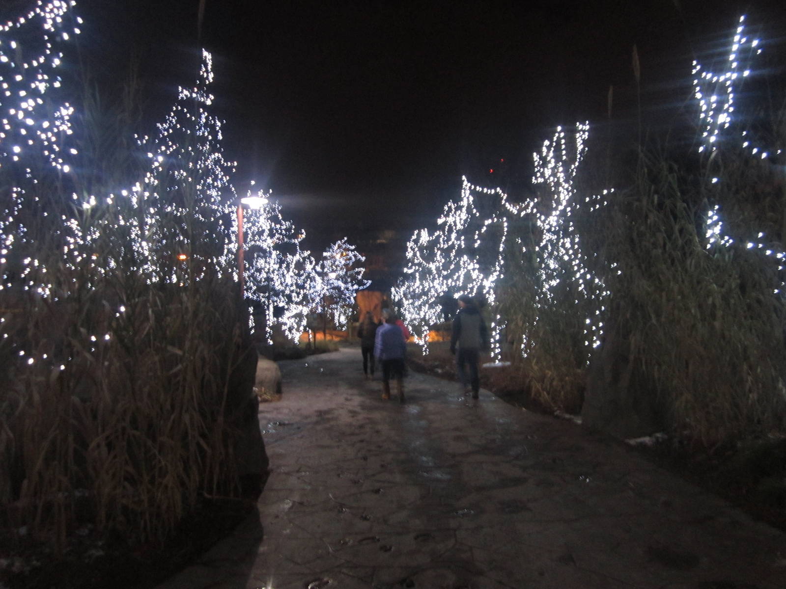 Festival of Lights 2013 - Africa Entrance