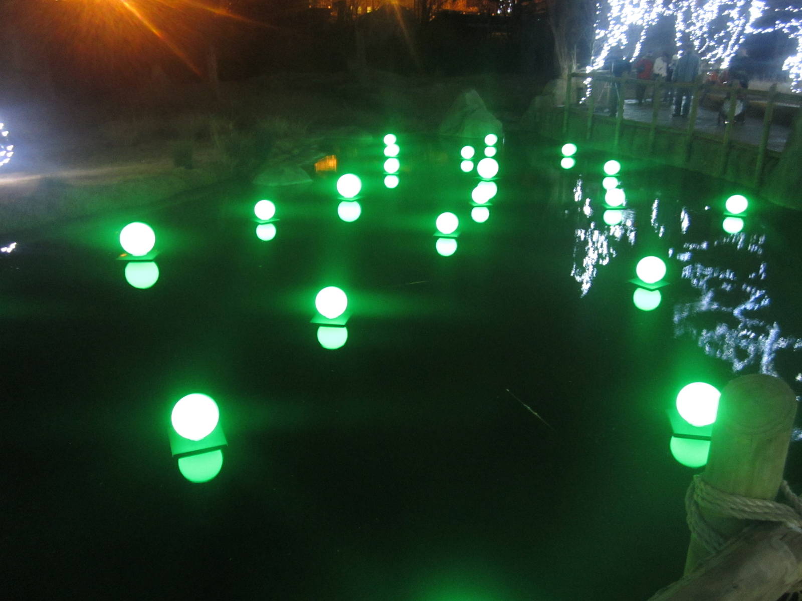 Festival of Lights 2013 - Africa - Waterhole