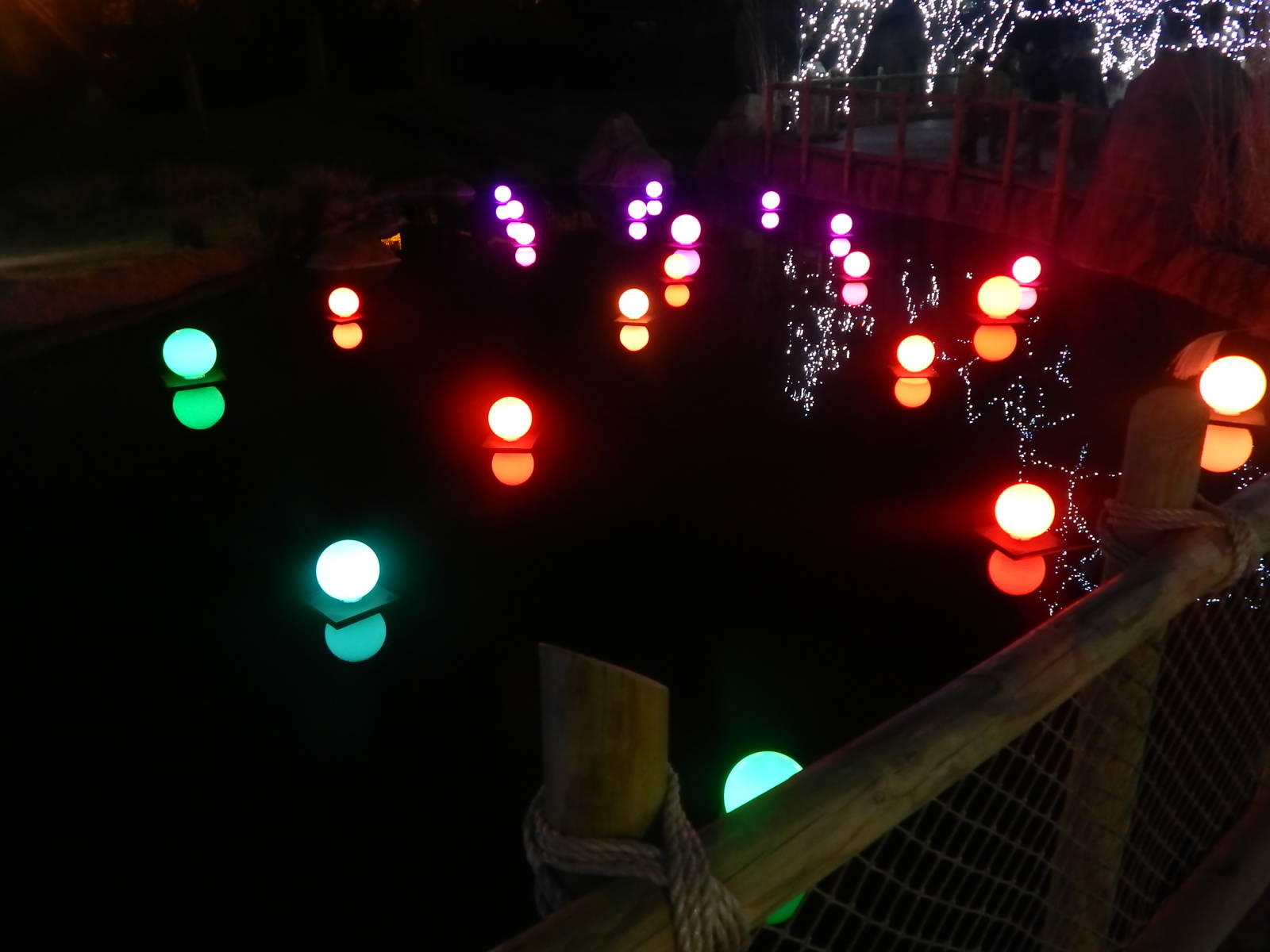 Festival of Lights 2013 - African Waterhole