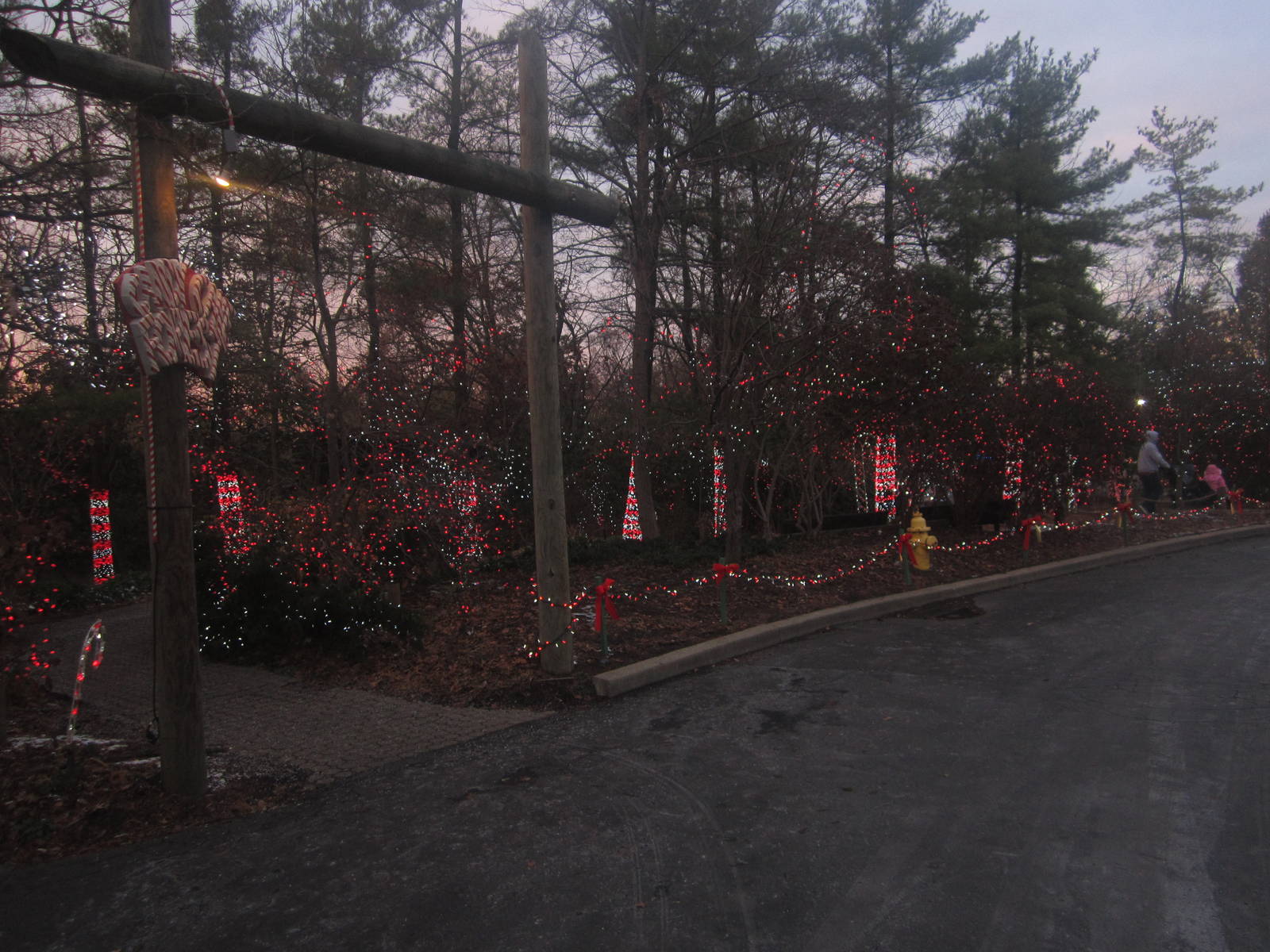 Festival of Lights 2013 - Candy Cane Forest