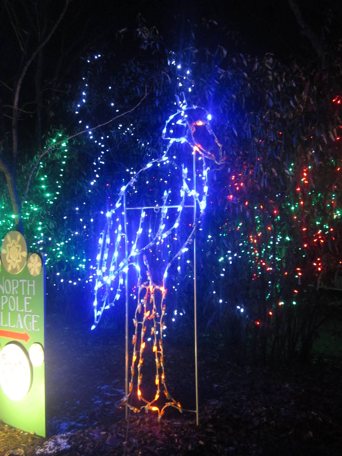 Festival of Lights 2013 - Children's Zoo - Shoebill Lights