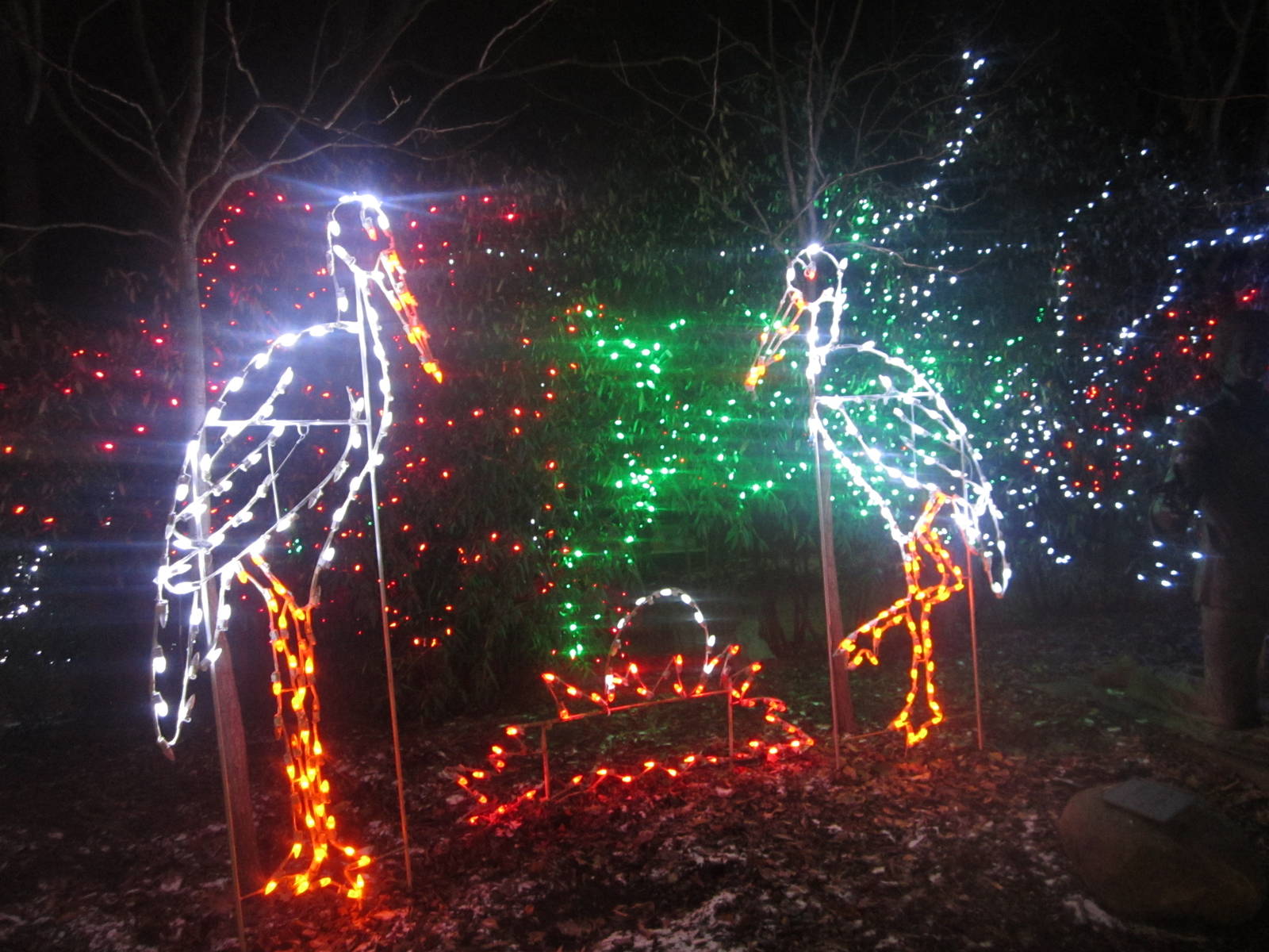 Festival of Lights 2013 - Children's Zoo