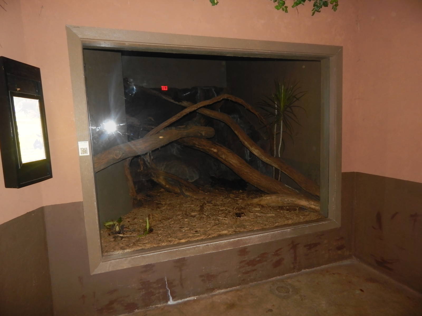 Festival of Lights 2013 - Dragons! - Crocodile Monitor Exhibit