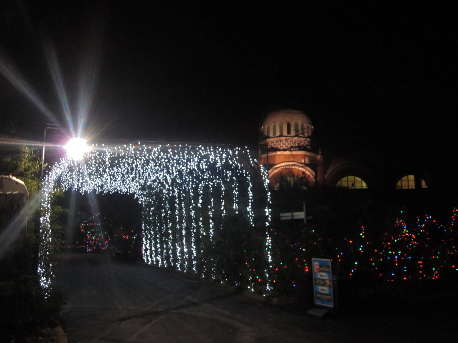 Festival of Lights 2013 - Elephant House